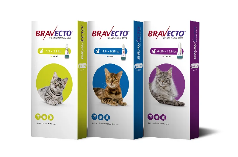 BRAVECTO CAT