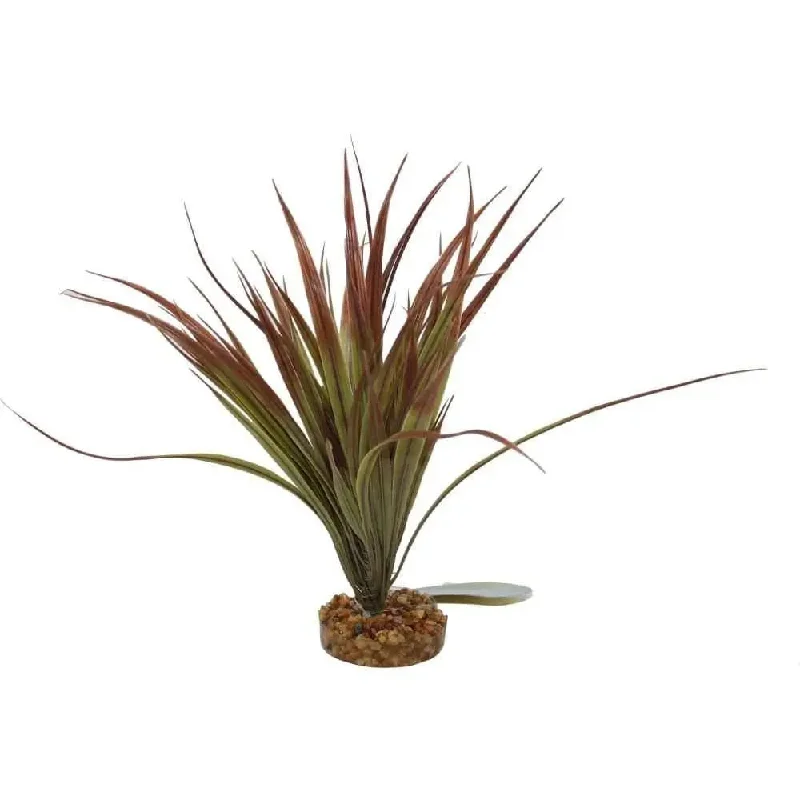 Color Burst Florals Mini Sword Plant