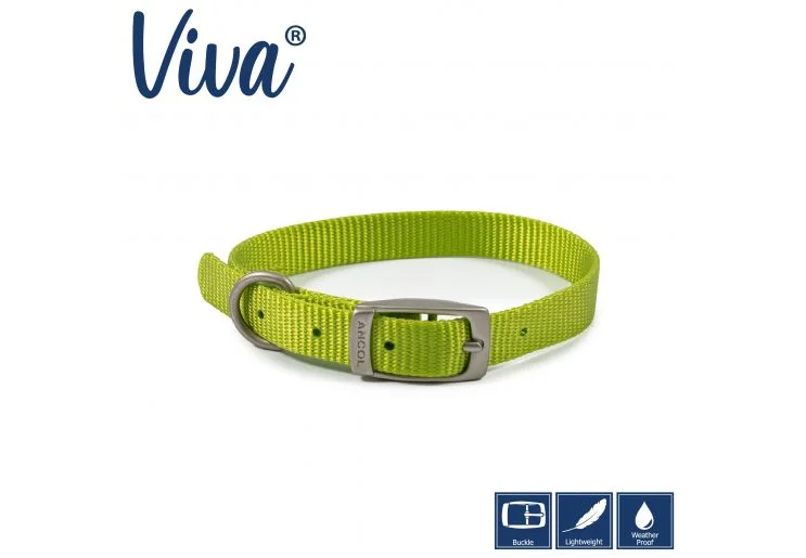 Ancol - Viva Nylon Buckle Collar - Lime - Size 2 (26-31cm)